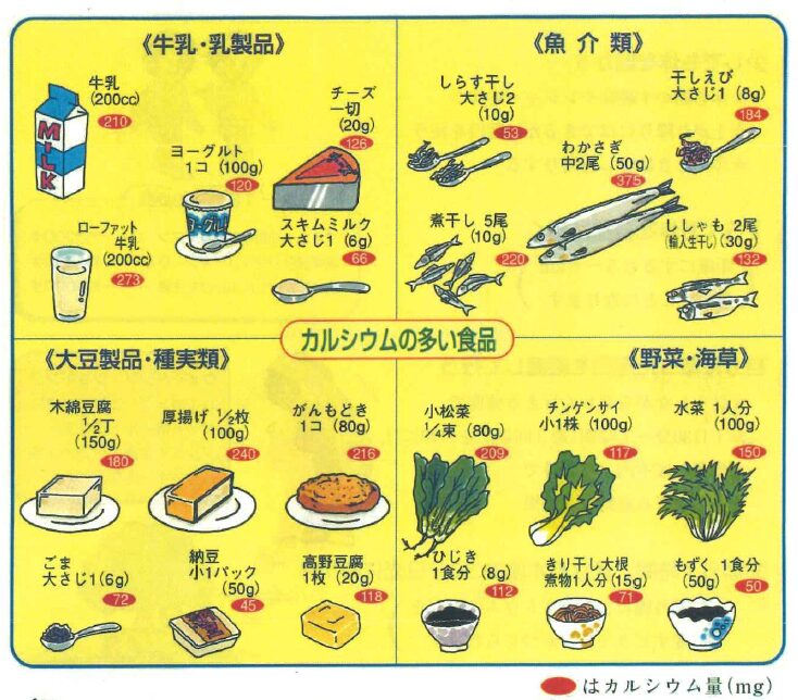 骨密度検査