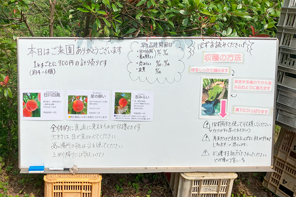収穫の説明