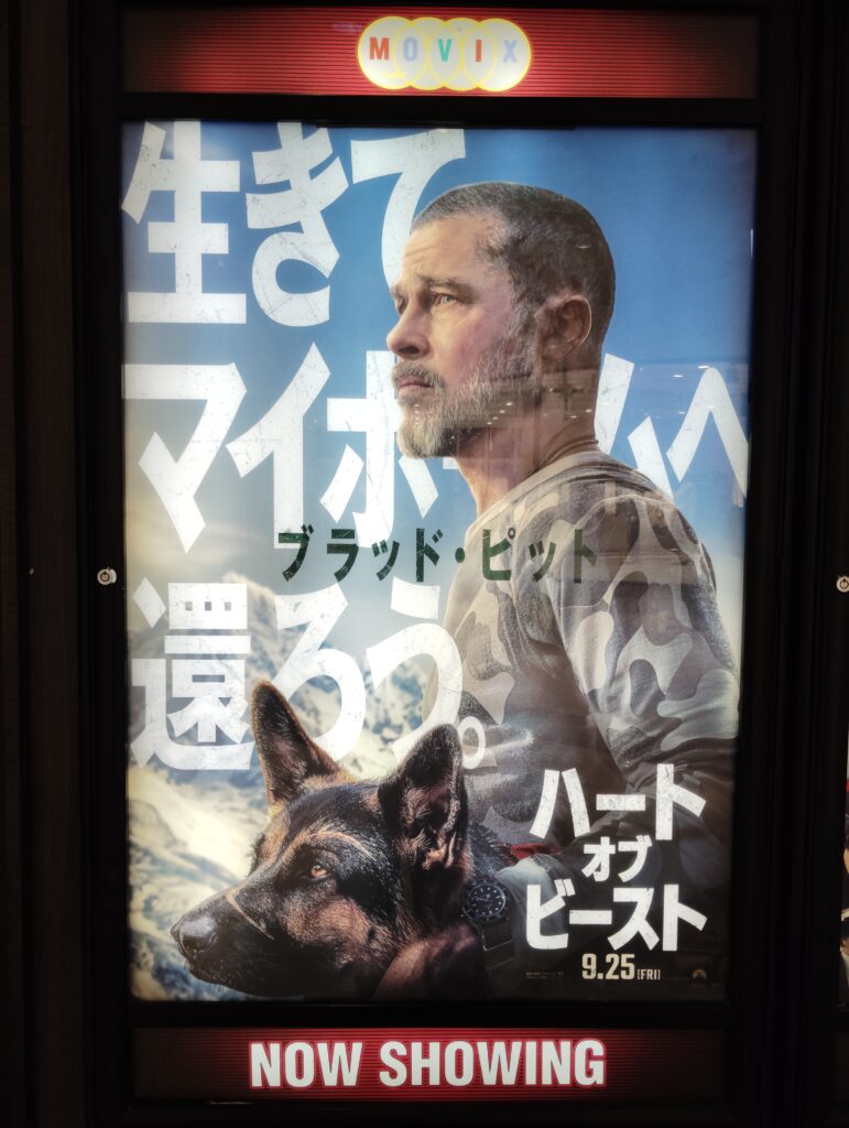 おすすめ映画